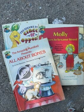 Sesame Street Kids Book Lot - Red, Yellow, White, Blue